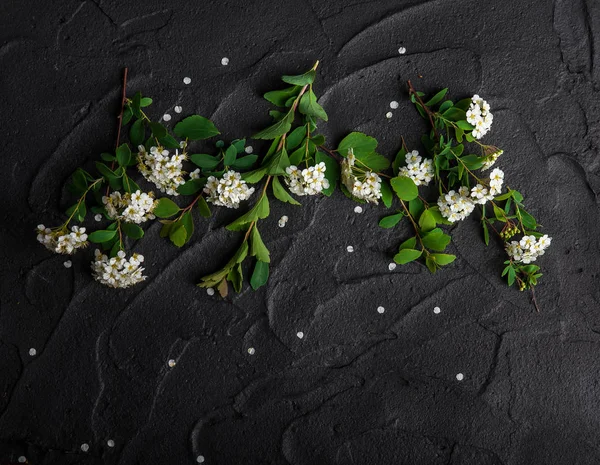 Květinová Kompozice Bílým Spiraea Zelenou Barvou Listí Černém Pozadí — Stock fotografie