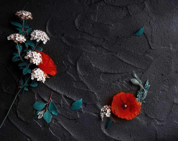 Floral Composition Red Poppies White Spiraea Black Concrete Background Royalty Free Stock Images