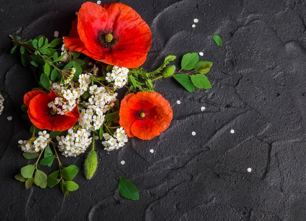 Composition Florale Avec Coquelicots Rouges Spirée Blanche Sur Fond Béton Images De Stock Libres De Droits
