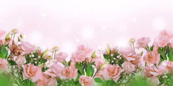 Primer Plano Rosas Rosadas Fondo Floral — Foto de Stock