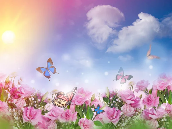 Närbild Rosa Rosor Och Fjärilar Blommig Bakgrund — Stockfoto