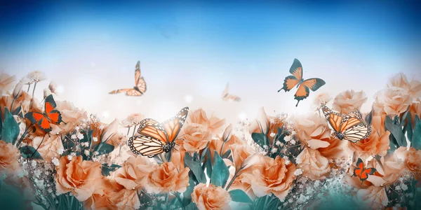 关闭橙色玫瑰和蝴蝶 花卉背景 — 图库照片