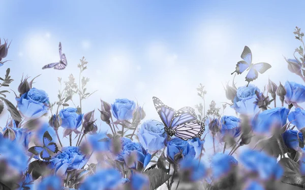 Nahaufnahme Von Blauen Rosen Und Schmetterlingen Blumiger Hintergrund — Stockfoto