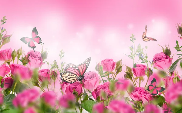 Butterflies and flowers Stock Photos, Royalty Free Butterflies and flowers  Images | Depositphotos
