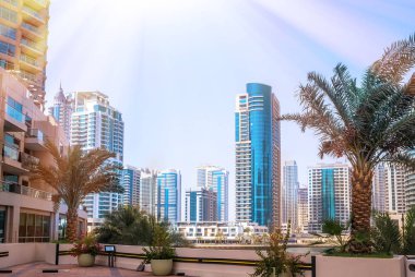 Dubai Yat Limanı genel bakış. şehir manzarası.