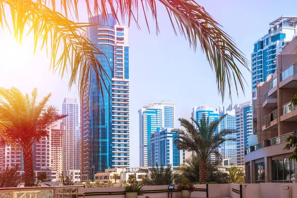 Vue Générale Dubai Marina Horizon Ville — Photo
