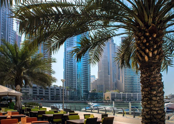 Dubai Yat Limanı genel bakış. Şehir manzarası hattı.