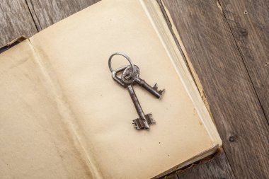 iki eski paslı anahtar antika kitap 