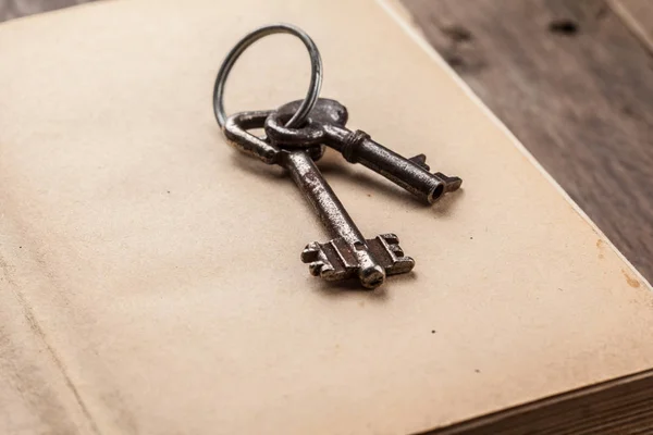 Two Old Rusty Keys Antique Book — Stock Photo, Image