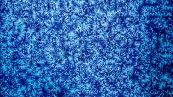 High Quality Animation Freezing Ice Winter Background — Stock Video