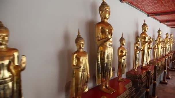 Buddha Statyer Thailand Wat Pho Templet — Stockvideo