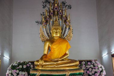 Uzanmış Buddha altın heykel Wat Pho, Bangkok, Tayland