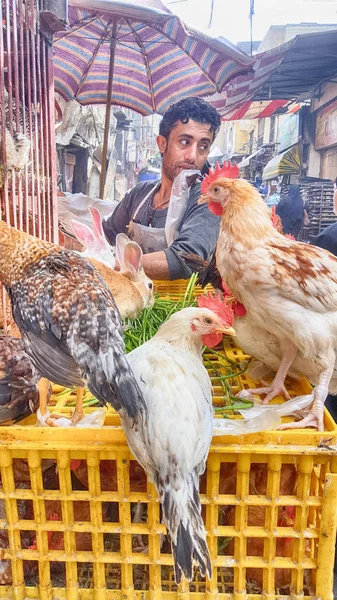 Cairo, Mısır - 18 Şubat 2018: İslam Kahire Han El halili pazarda ıslak