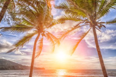 Tayland Andaman Denizi plajında günbatımı