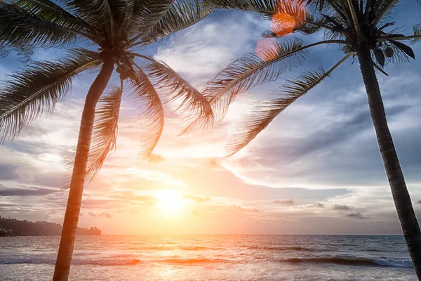 Tayland Andaman Denizi plajında günbatımı