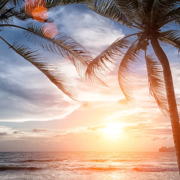 Tayland Andaman Denizi plajında günbatımı