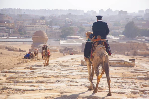 Polizeiritt Auf Ägyptischem Kamel Kairo Giza — Stockfoto