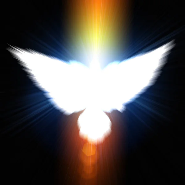 Arka Plan Beyaz Bir Güvercin Mavi Üzerinde Kutsal Işareti Kızdırma — Stok fotoğraf
