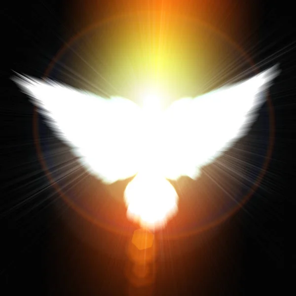 Heiliges Zeichen Einer Weißen Taube Auf Glühendem Hintergrund — Stockfoto