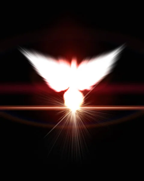 Holy sign of a white dove on a glow background