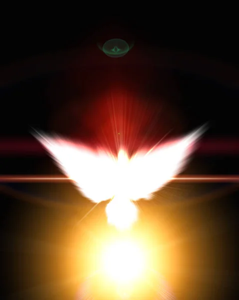 Kutsal Kızdırma Arka Plan Üzerinde Beyaz Bir Güvercin — Stok fotoğraf