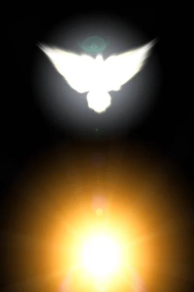 Holy sign of a white dove on a glow background