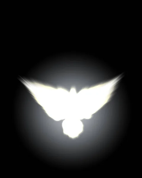 Holy sign of a white dove on a glow background