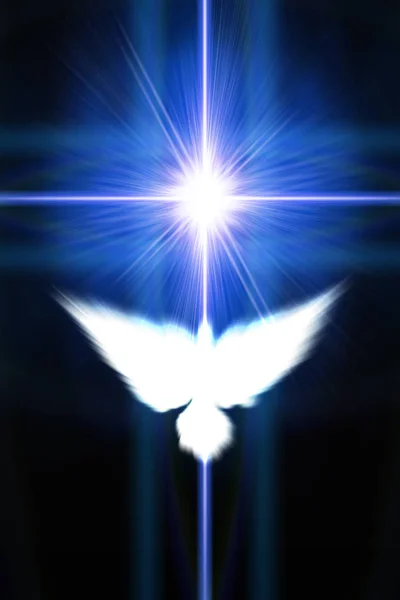 Holy sign of a white dove on a glow background