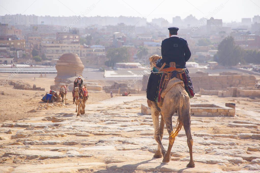 Police ride on camel Egypt Cairo - Giza