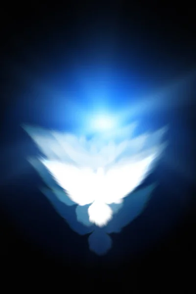 Святой Знак Белого Голубя Светящемся Фоне — стоковое фото