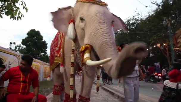 Ayutthaya Tajlandia Dec 2018 Thourists Karmienie Elephan Prowincji Tajlandia Ayutthaya — Wideo stockowe