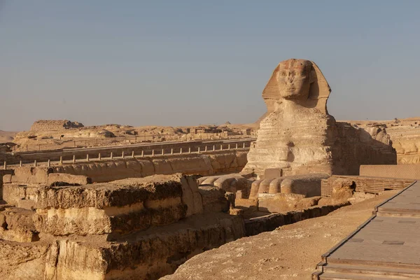 Grand Sphinx Gizeh Égypte — Photo