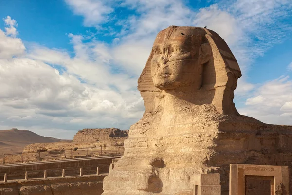 Великий Сфинкс Гизе Египет — стоковое фото
