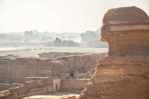 Grote Sfinx Giza Egypte — Stockfoto