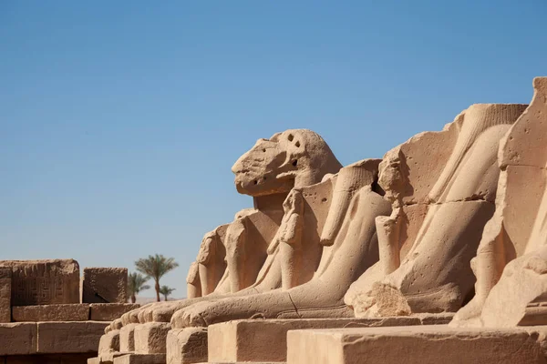 Karnak Tempel Luxor Ägypten — Stockfoto