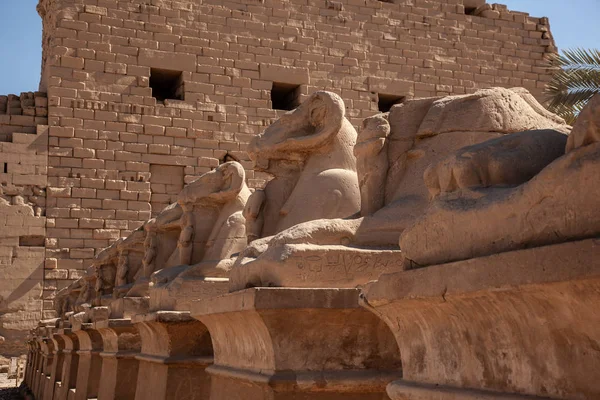 Templo Karnak Luxor Egito — Fotografia de Stock