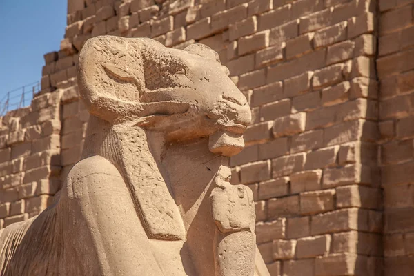 Lüksör Mısır Daki Karnak Tapınağı — Stok fotoğraf