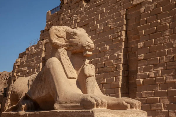 Karnak Templom Luxor Egyiptom — Stock Fotó