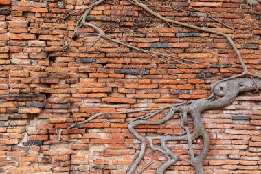Detaylı kırmızı tuğla duvar arka planı