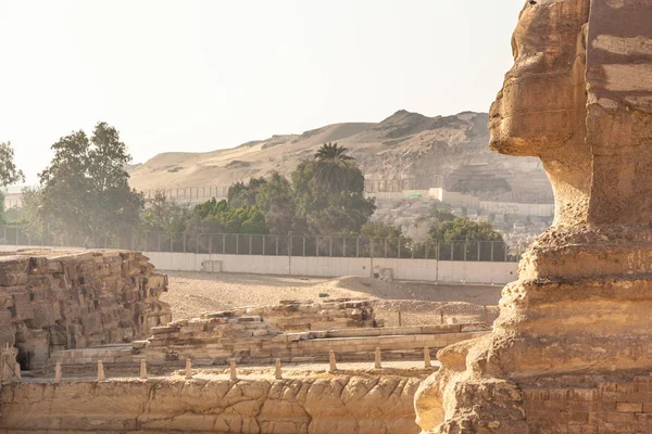 Grand Sphinx Gizeh Égypte — Photo