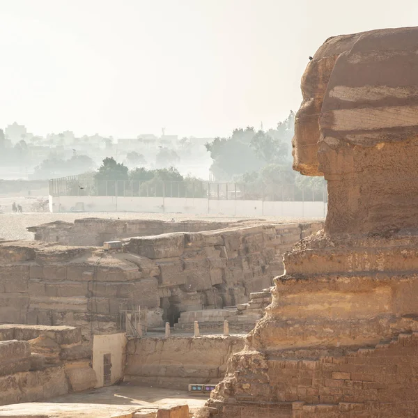 Grote Sfinx Giza Egypte — Stockfoto