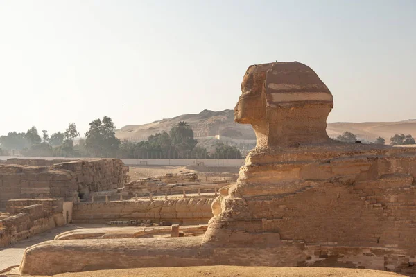 Великий Сфінкс Гізі Єгипет — стокове фото