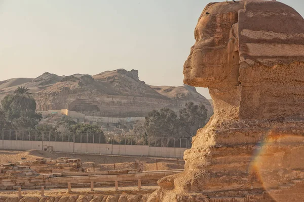 Wielki Sfinks w Gizie — Zdjęcie stockowe