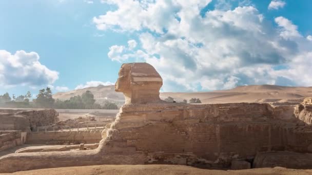 Grande Esfinge Pirâmide Kufu Gizé Egito — Vídeo de Stock