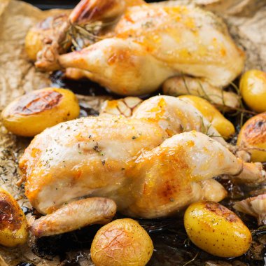 Yiyecek ve içecek, tatil yemek yemek kavramı. Kavrulmuş poussin baharat, ot, sarımsak ve mutfak masasının üzerinde küçük patates ile tavuk.