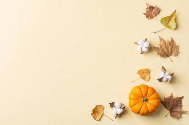 Dekoratif portakal ile Sonbahar sonbahar şükran günü kompozisyon 