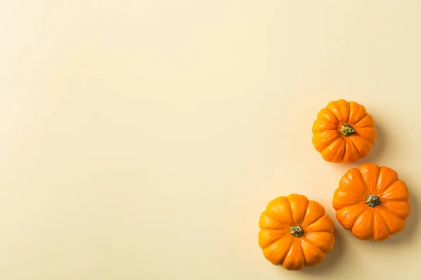가을 추수 감사절 구성 장식 오렌지 — 스톡 사진