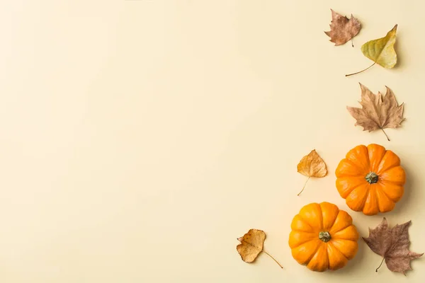Höst höst Thanksgiving Day komposition med dekorativa orange — Stockfoto
