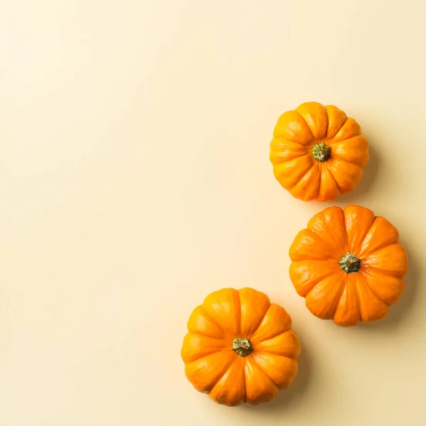 Høstens høsttakkefest med dekorativ oransje – stockfoto