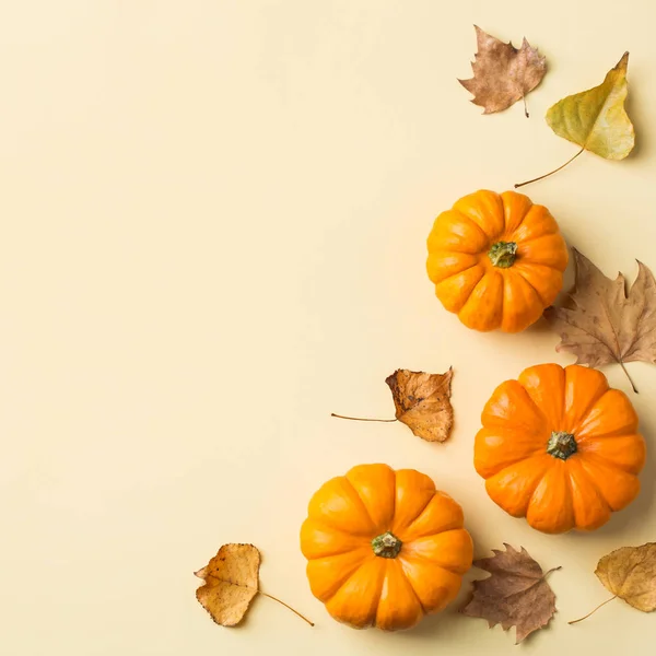 Höst höst Thanksgiving Day komposition med dekorativa orange — Stockfoto